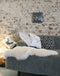 interior 3240ZW,Alex RC,NeXtime,Glass,Black,