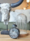 interior 5213ZW,Single Bell,NeXtime,Metal,Black,