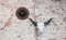 atmosphere 8186CO,Sahara,NeXtime,Glass,Copper