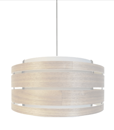 Hangende elektrische eenheid